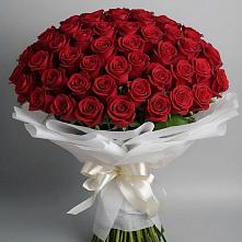 Букет 101 Красная роза Блэк Мэджик в Стрелке