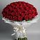 Букет 101 Красная роза Блэк Мэджик в Стрелке