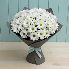 Букет цветов из:  Хризантемы #REPLACE_PRED# Стрелке
