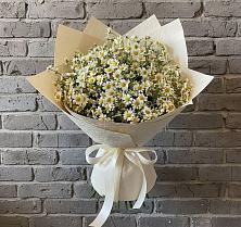 Букет цветов из:  Ромашки в Стрелке