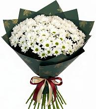 Букет цветов из:  Хризантемы #REPLACE_PRED# Стрелке