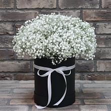 Цветочная композиция из Гипсофила в шляпной коробке в Стрелке