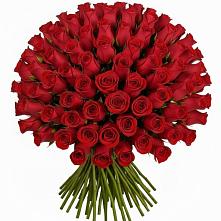 Букет Красные розы Чери Лав в Стрелке